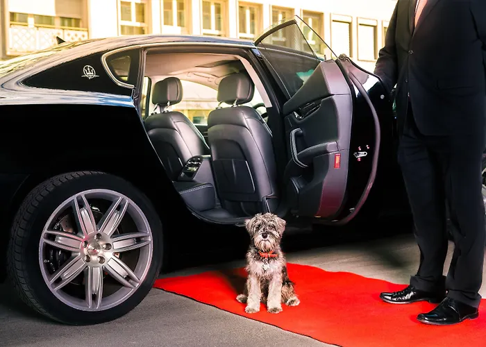 Park Hyatt - Center Luxury Hotel