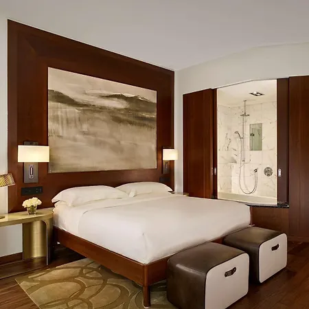 Hotel Park Hyatt - Center Luxury 5*