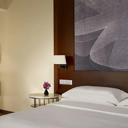 Park Hyatt - Center Luxury מלון 5*