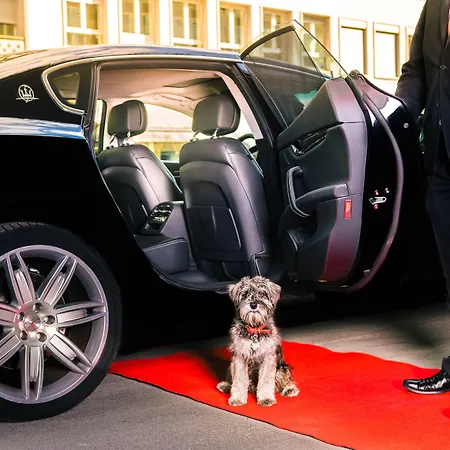 Park Hyatt - Center Luxury מלון