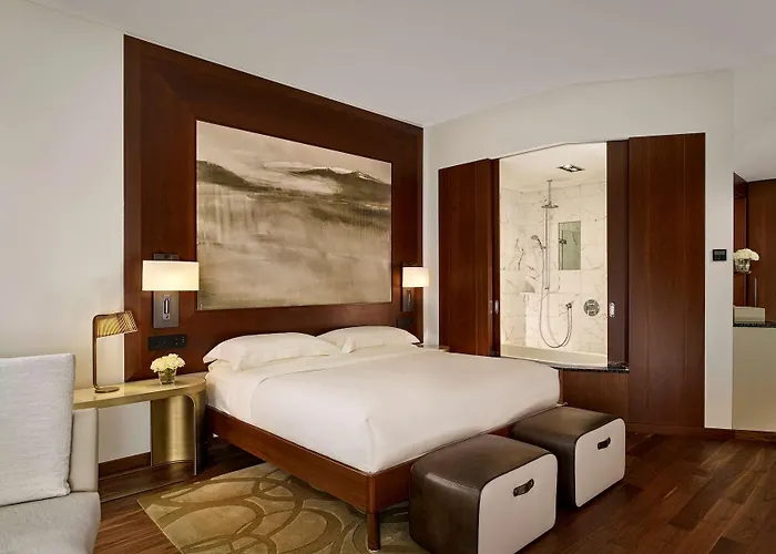 Hotel Park Hyatt - Center Luxury 5*