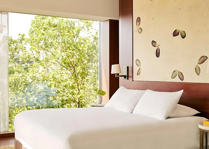 Park Hyatt - Center Luxury Zurich