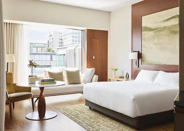 Hotel Park Hyatt - Center Luxury